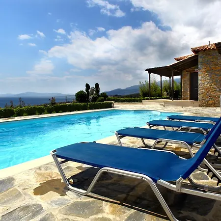 Olive Grove * Áfissos