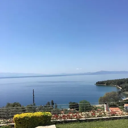 Olive Grove