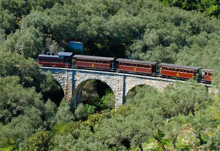 Olive Grove Vilă Afissos