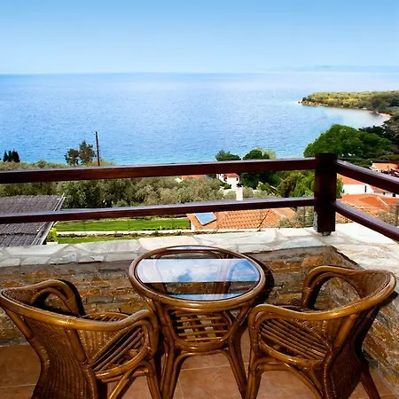 Olive Grove * Afissos