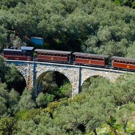 Olive Grove Villa Afissos